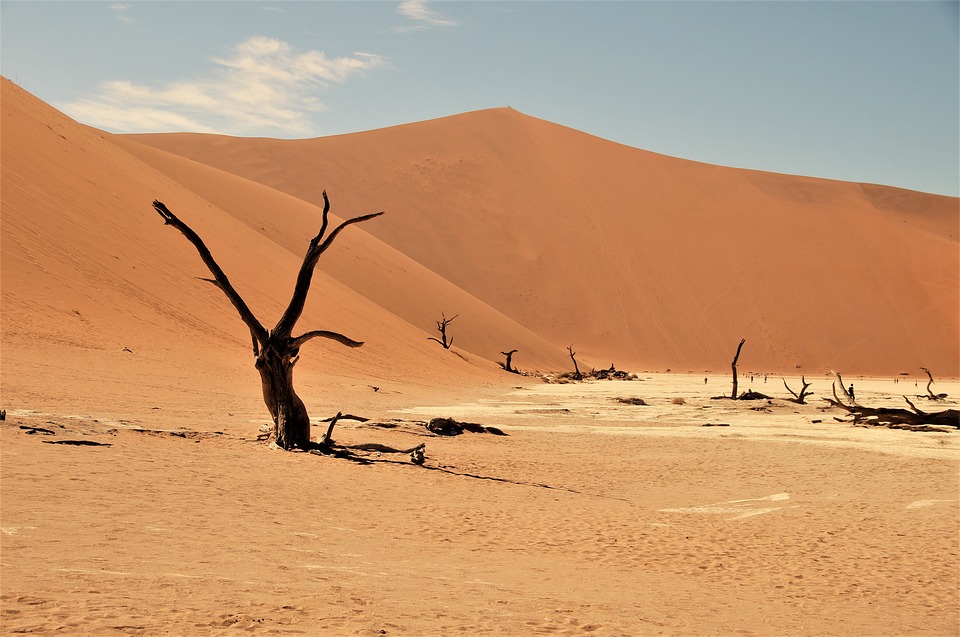 Gli 11 deserti più belli del mondo da vedere almeno una volta nella vita!